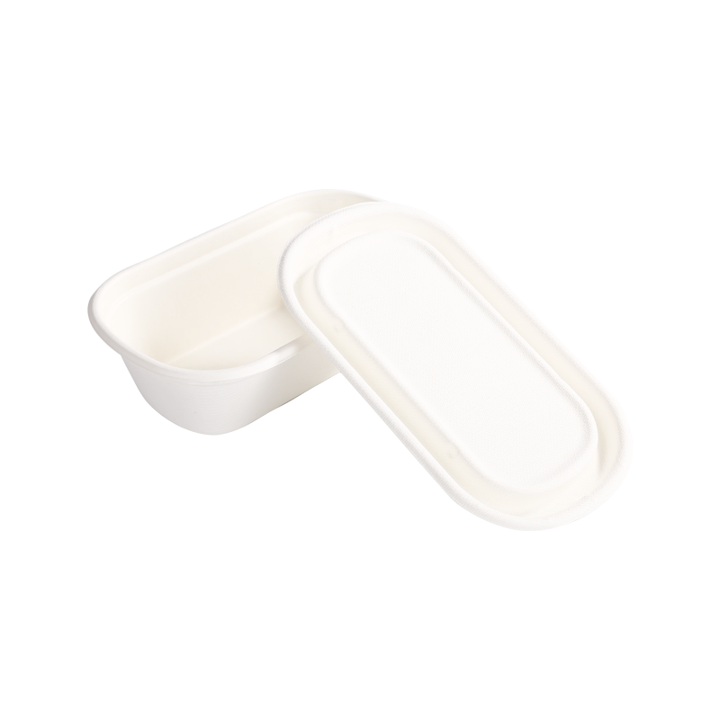 經(jīng)濟實惠950ml 帶蓋單格容器